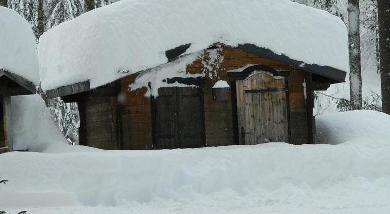 Hotel Les Sapins Montriond Exterior foto